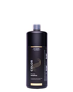 PFLEGE-SHAMPOO COLOR  1 Ltr.